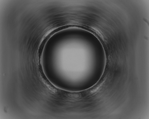 X0000092280931200709141218