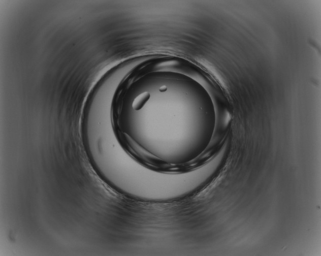 X0000092280932200709141218