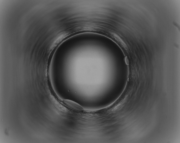 X0000092280938200709141218