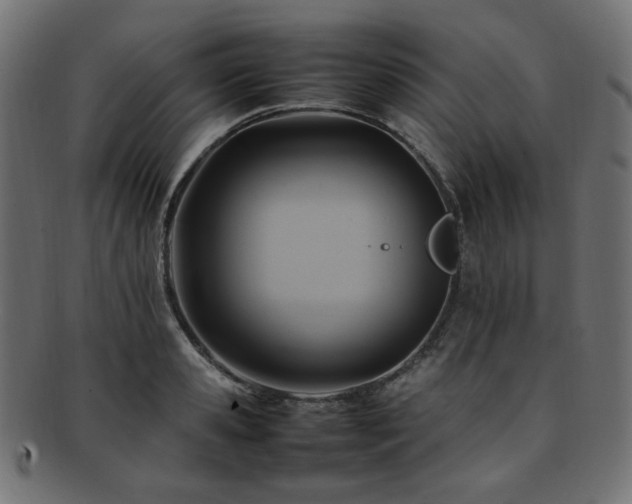 X0000092280941200709141218