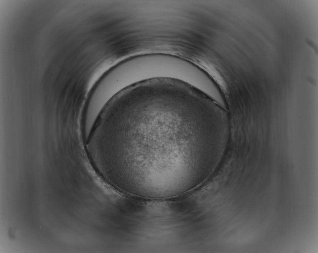 X0000092280944200709141218