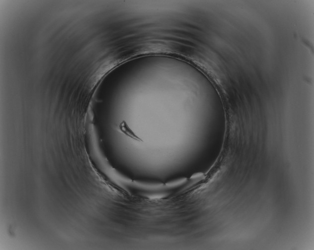 X0000092280945200709141218