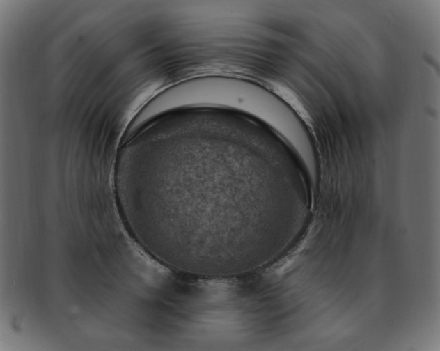 X0000092280946200709141218