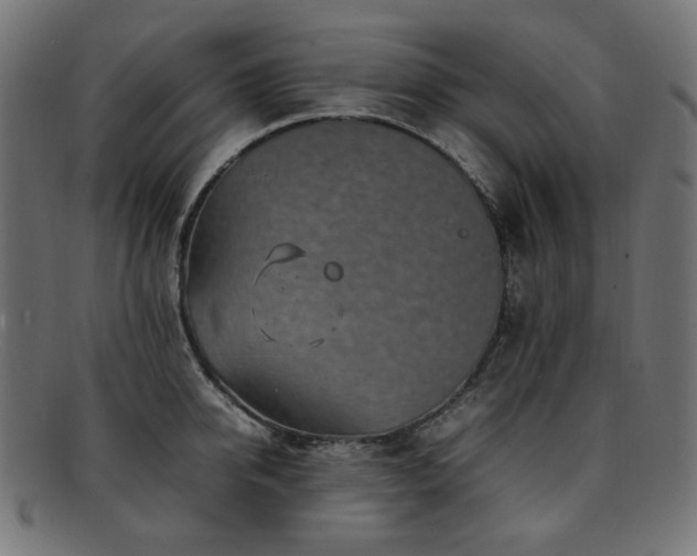 X0000092280950200709141218