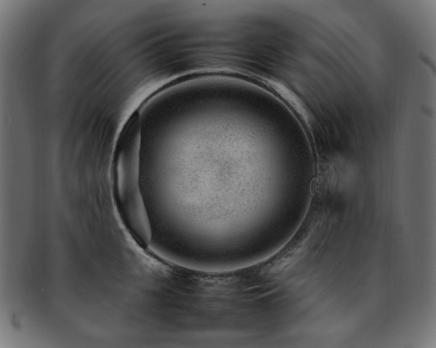 X0000092280951200709141218