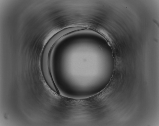 X0000092280952200709141218