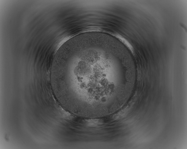 X0000092280953200709141218