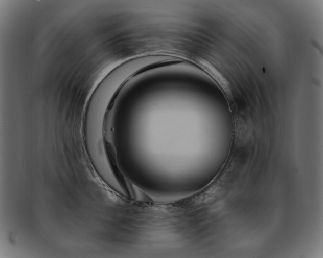 X0000092280956200709141218