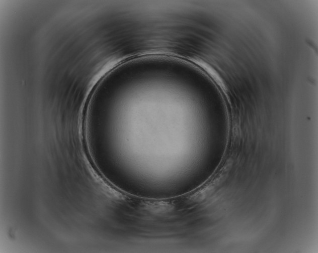 X0000092280957200709141218