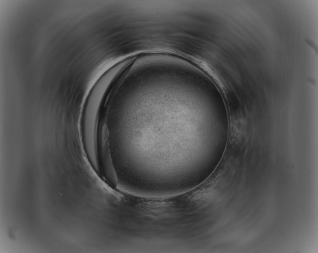 X0000092280959200709141218