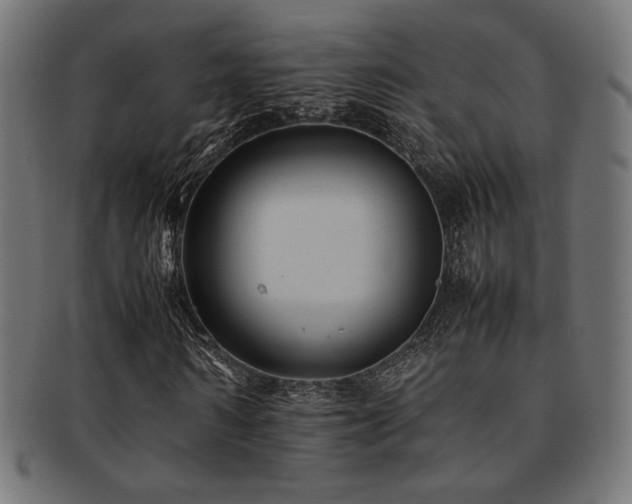 X0000092280962200709141217