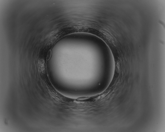 X0000092280963200709141217