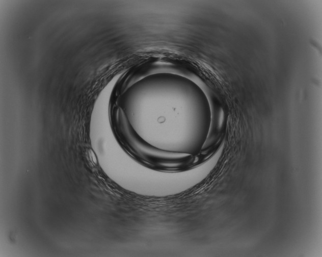 X0000092280965200709141217