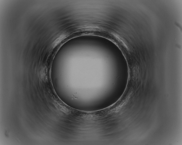 X0000092280970200709141217