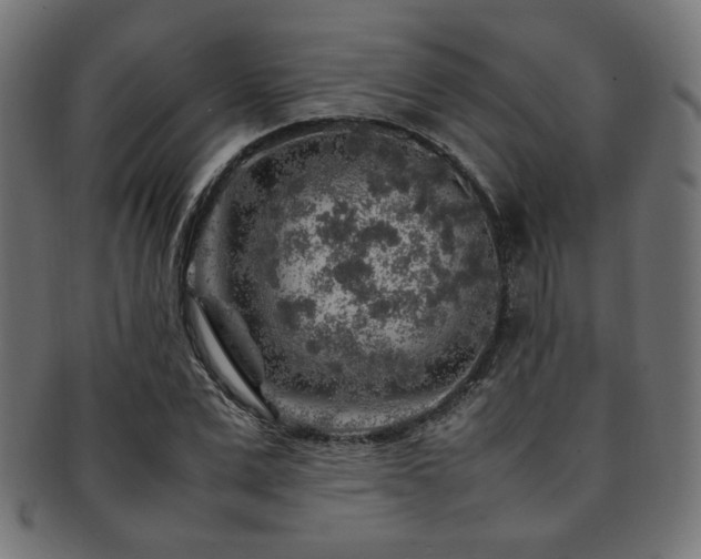 X0000092280975200709141217