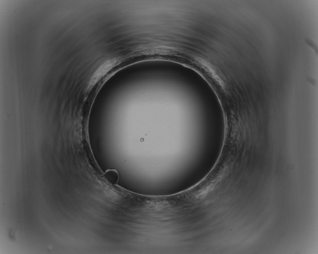 X0000092280978200709141217