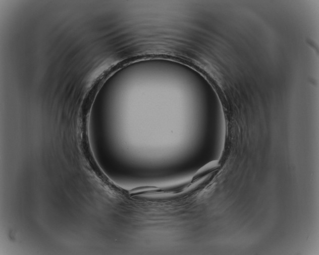 X0000092280979200709141217