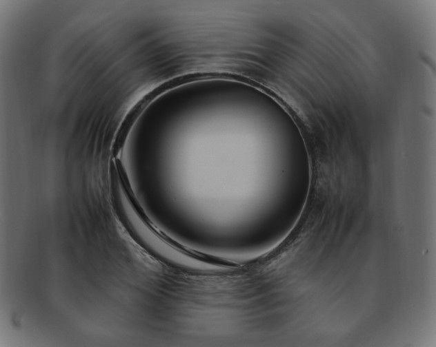 X0000092280980200709141217