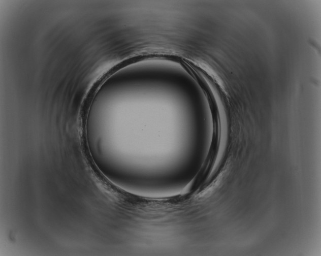 X0000092280981200709141217