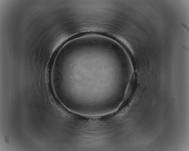 X0000092280983200709141217