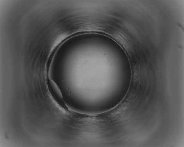 X0000092280990200709141217