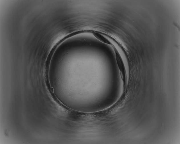 X0000092280991200709141217