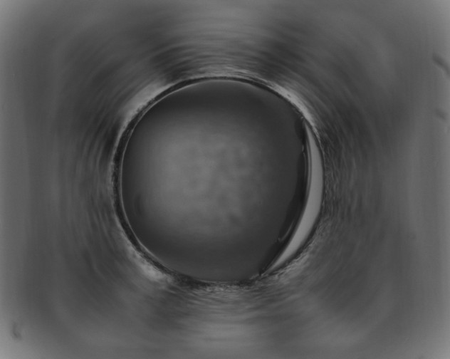 X0000092280995200709141217