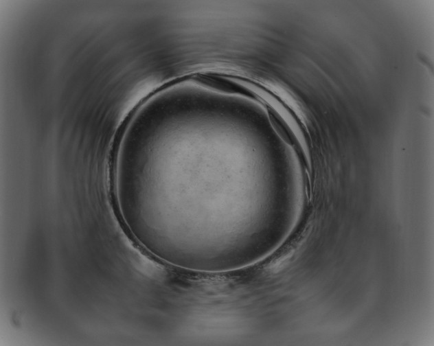 X0000092280999200709141217