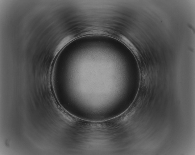 X0000092281002200709141217