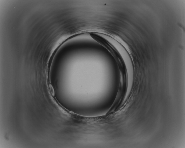 X0000092281005200709141217