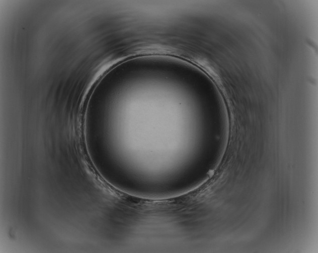 X0000092281008200709141217