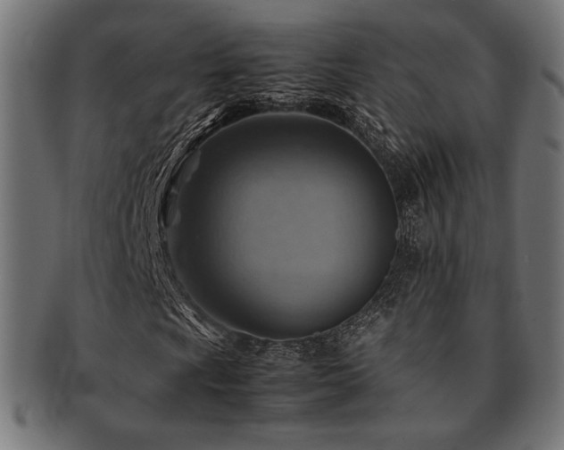 X0000092281009200709141216