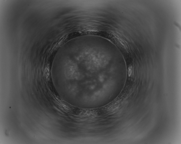 X0000092281011200709141216