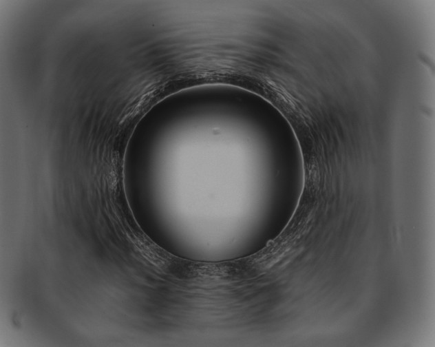 X0000092281012200709141216