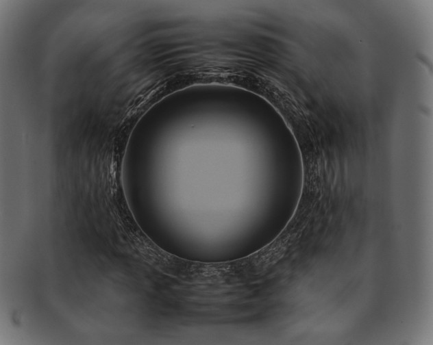 X0000092281013200709141216