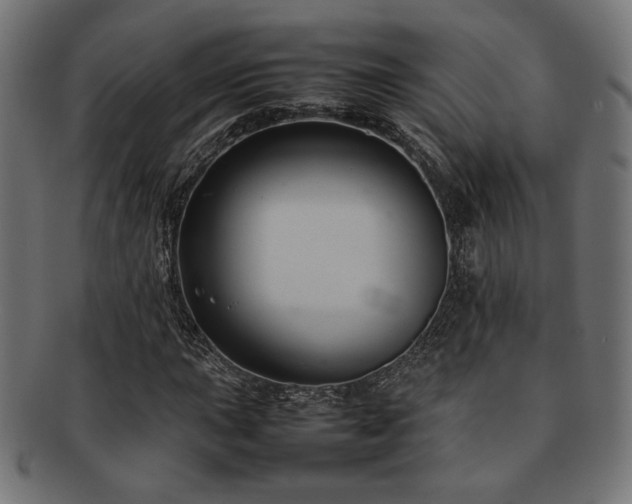 X0000092281015200709141216