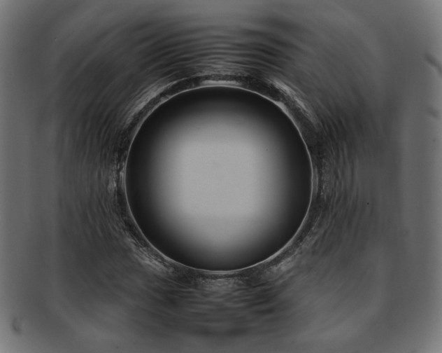 X0000092281017200709141216