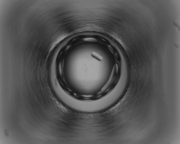 X0000092281018200709141216