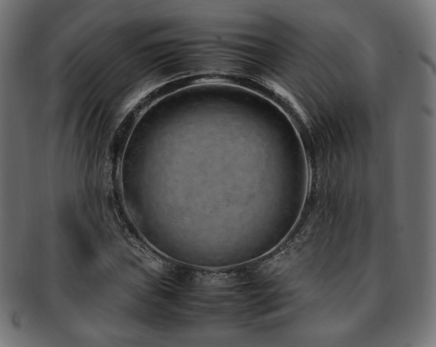 X0000092281019200709141216