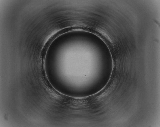 X0000092281021200709141216