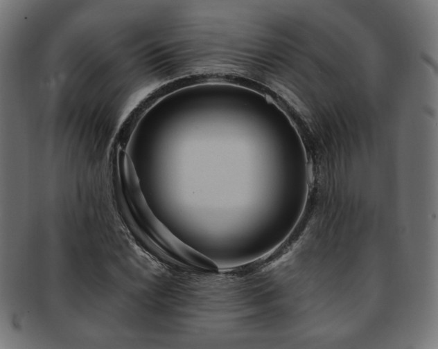 X0000092281022200709141216