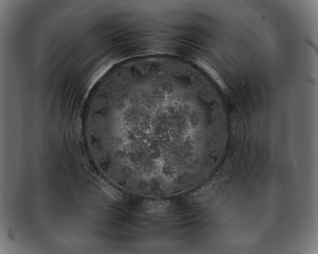 X0000092281023200709141216