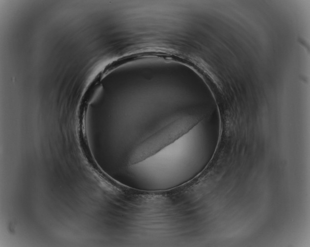 X0000092281024200709141216