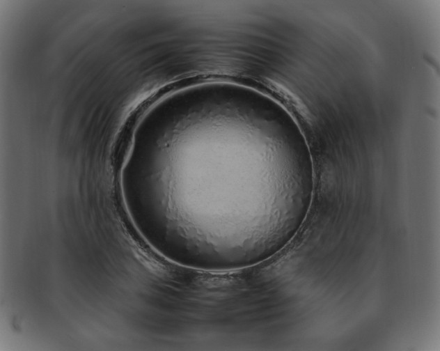 X0000092281027200709141216