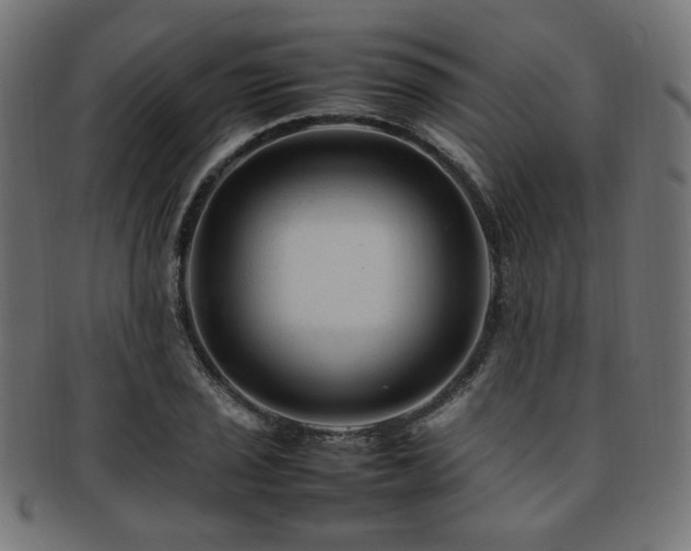 X0000092281029200709141217