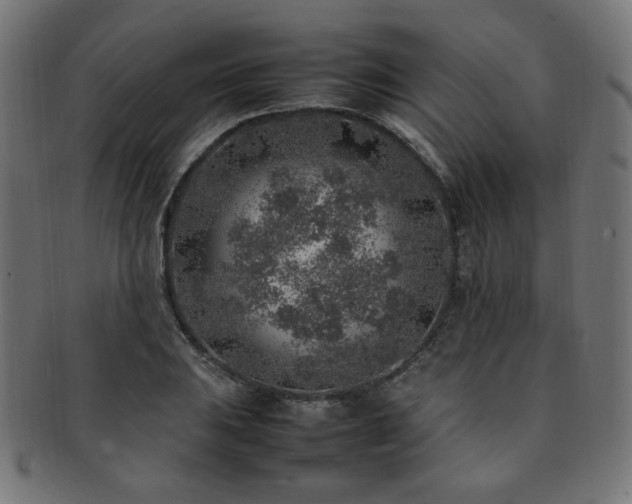 X0000092281031200709141217