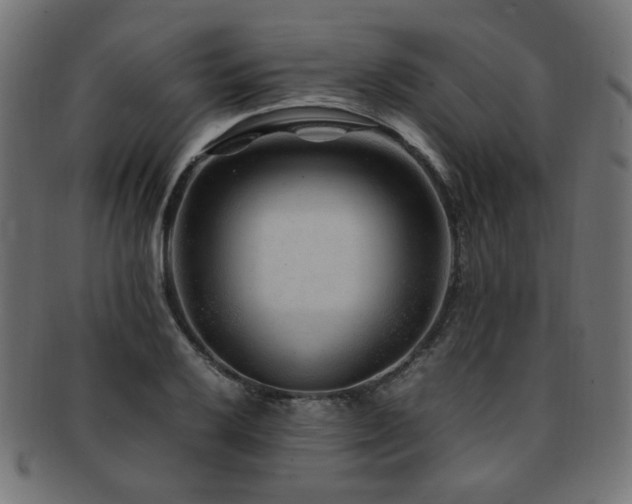 X0000092281032200709141217