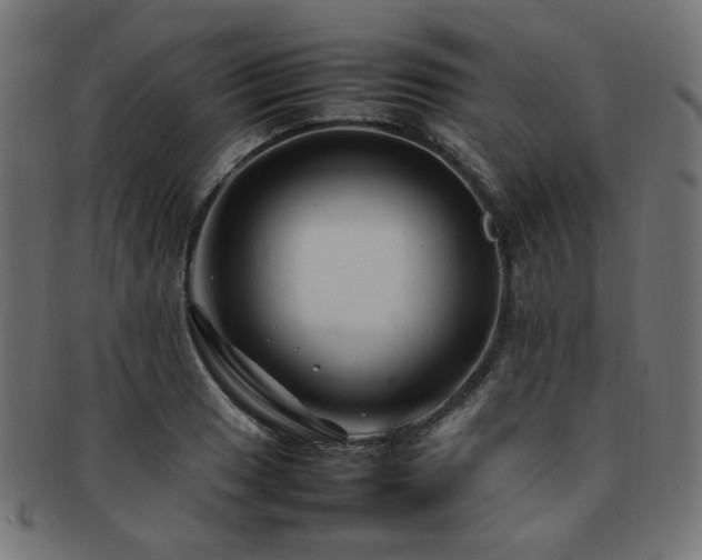 X0000092281033200709141217