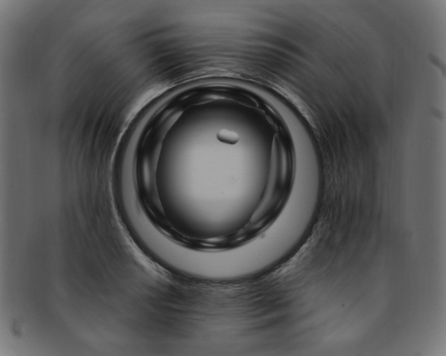 X0000092281034200709141217