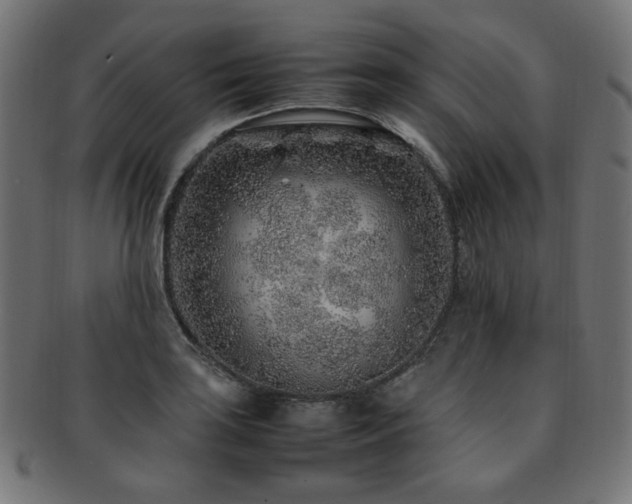 X0000092281035200709141217